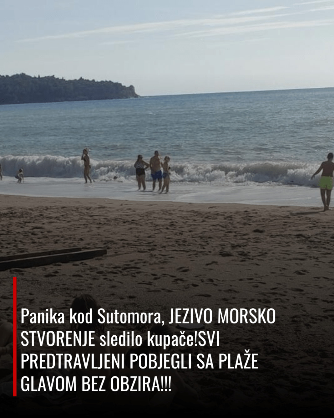 Panika kod Sutomora, JEZIVO MORSKO STVORENJE sledilo kupače!SVI PREDTRAVLJENI POBJEGLI SA PLAŽE GLAVOM BEZ OBZIRA!!! - featured image Panika kod Sutomora, JEZIVO MORSKO STVORENJE sledilo kupače!SVI PREDTRAVLJENI POBJEGLI SA PLAŽE GLAVOM BEZ OBZIRA!!! - featured image