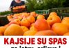 Kajsije su spas za jetru, crijeva i visok holesterol: Ova grupa ljudi nikako ne smije da ih jede - featured image