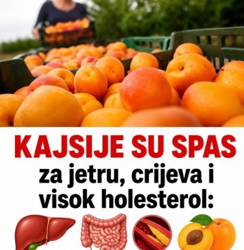 Kajsije su spas za jetru, crijeva i visok holesterol: Ova grupa ljudi nikako ne smije da ih jede Kajsije su spas za jetru, crijeva i visok holesterol: Ova grupa ljudi nikako ne smije da ih jede - featured image