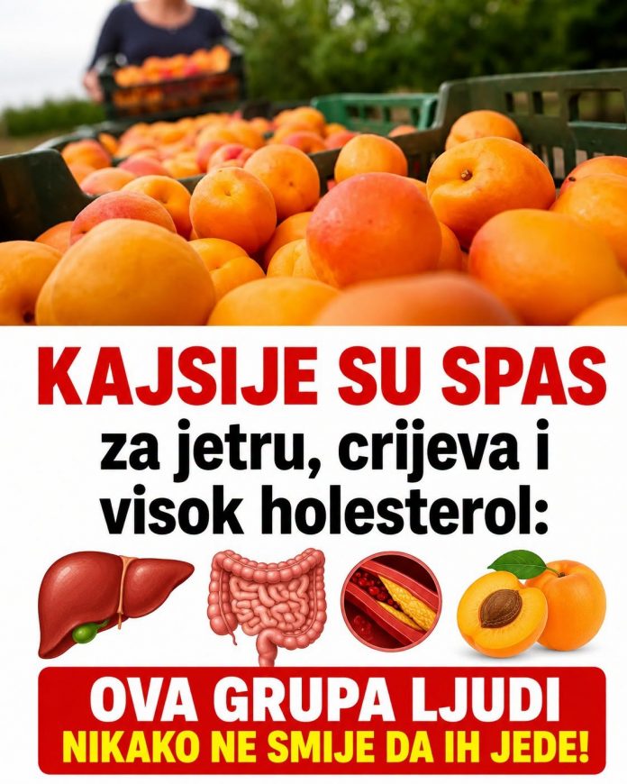 Kajsije su spas za jetru, crijeva i visok holesterol: Ova grupa ljudi nikako ne smije da ih jede - featured image