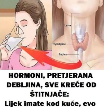 OSVJEŽAVAJUĆI NAPITAK ZA PODRŠKU ŠTITNJAČI: JEDNOSTAVAN RECEPT ZA POBOLJŠANJE ZDRAVLJA VAŠEG ORGANIZMA OSVJEŽAVAJUĆI NAPITAK ZA PODRŠKU ŠTITNJAČI: JEDNOSTAVAN RECEPT ZA POBOLJŠANJE ZDRAVLJA VAŠEG ORGANIZMA - featured image