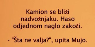 VIC DANA: Kamiondžije - featured image