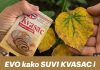 EVO kako SUVI KVASAC i mrtve biljke vraća u život! Ovo vam niko neće reći! - featured image
