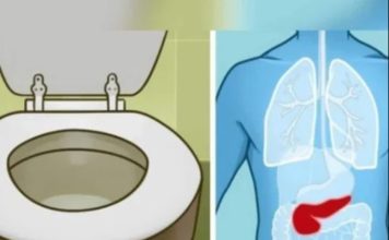6 ZNAK0VA DA JE GUŠTERAČA U VELlK0J 0PASN0STI - featured image