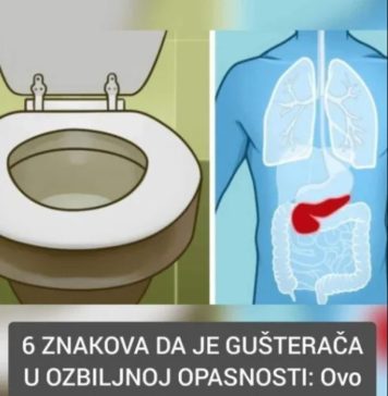 6 ZNAK0VA DA JE GUŠTERAČA U VELlK0J 0PASN0STI - featured image