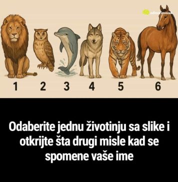 Zanima te šta se zapravo pomisli kad neko spomene tvoje ime? Odaberi životinju i otkrij istinu koju drugi ne govore naglas Zanima te šta se zapravo pomisli kad neko spomene tvoje ime? Odaberi životinju i otkrij istinu koju drugi ne govore naglas - featured image