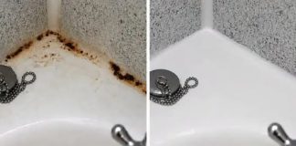 ZABORAVITE SODU BIKARBONU I SIRĆE: Jedna namirnica koju već imate u kući čini da kamenac nestane duplo brže, TOPI ČAK I RĐU - featured image