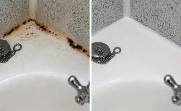 ZABORAVITE SODU BIKARBONU I SIRĆE: Jedna namirnica koju već imate u kući čini da kamenac nestane duplo brže, TOPI ČAK I RĐU - featured image