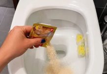 STAVILA SAM KVASAC U WC ŠOLJU I SAČEKALA SAT VREMENA: Kad sam ušla u WC nisam mogla da vjerujem STAVILA SAM KVASAC U WC ŠOLJU I SAČEKALA SAT VREMENA: Kad sam ušla u WC nisam mogla da vjerujem - featured image