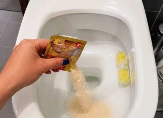 STAVILA SAM KVASAC U WC ŠOLJU I SAČEKALA SAT VREMENA: Kad sam ušla u WC nisam mogla da vjerujem STAVILA SAM KVASAC U WC ŠOLJU I SAČEKALA SAT VREMENA: Kad sam ušla u WC nisam mogla da vjerujem - featured image
