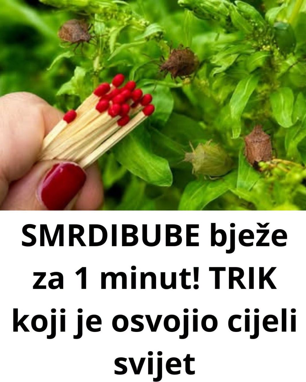 SMRDIBUBE bježe za 1 minut! TRIK koji je osvojio cijeli svijet - featured image SMRDIBUBE bježe za 1 minut! TRIK koji je osvojio cijeli svijet - featured image