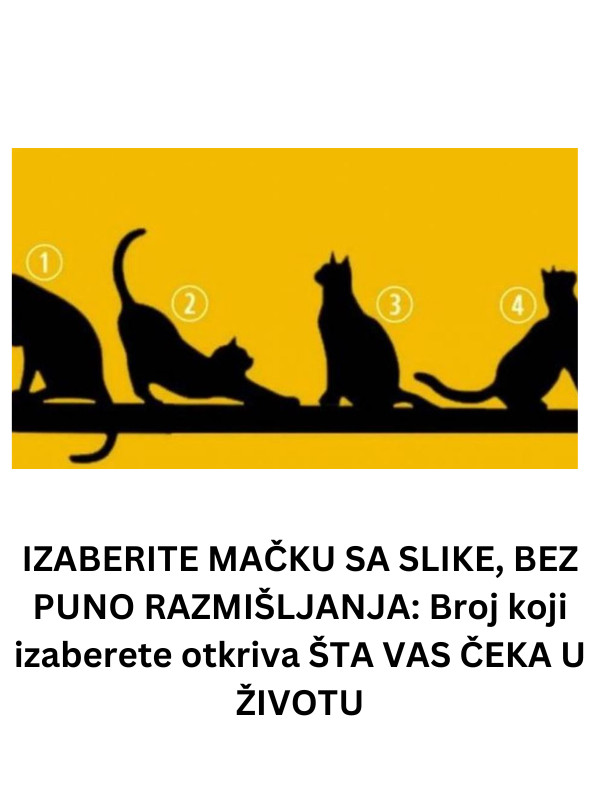 IZABERITE MAČKU SA SLIKE, BEZ PUNO RAZMIŠLJANJA: Broj koji izaberete otkriva ŠTA VAS ČEKA U ŽIVOTU - featured image IZABERITE MAČKU SA SLIKE, BEZ PUNO RAZMIŠLJANJA: Broj koji izaberete otkriva ŠTA VAS ČEKA U ŽIVOTU - featured image