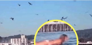 Snimala je svoju kćerku na plaži, ali nije ni slutila šta će se desiti narednih sekundi! - featured image