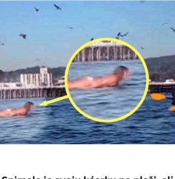 Snimala je svoju kćerku na plaži, ali nije ni slutila šta će se desiti narednih sekundi! Snimala je svoju kćerku na plaži, ali nije ni slutila šta će se desiti narednih sekundi! - featured image