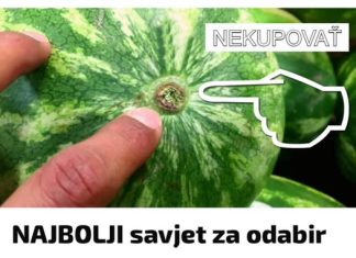 DONOSIMO VAM NAJBOLJI savjet za odabir slatke lubenice: NIKAD mi se nije dogodila nezrela ili ne baš slatka! - featured image