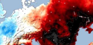 Izmereno 60 stepeni u ovom gradu u Srbiji: Termometar pokazao rekordnu brojku, ljudi u neverici (Foto) - featured image
