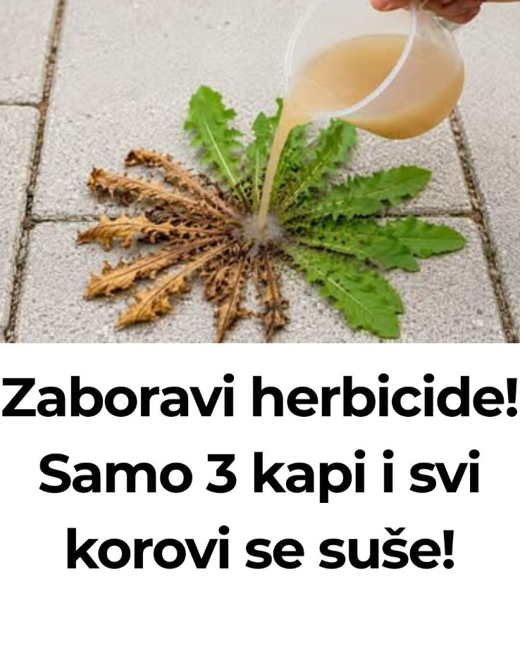 Zaboravi herbicide! Samo 3 kapi i svi korovi se suše! - featured image Zaboravi herbicide! Samo 3 kapi i svi korovi se suše! - featured image