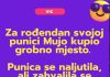 VIC DANA: Mujo i svekrva - featured image