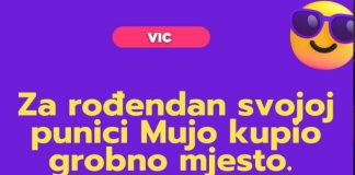 VIC DANA: Mujo i svekrva - featured image