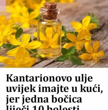 KANTARI0NOVO ULJE uvijek imajte u kući, jer jedna bočica LIJEČI 10 BOLESTI! - featured image