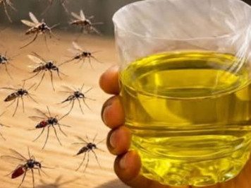 Muče vas muhe, komarci i insekti? Evo trika koji ih uklanja bez da potrošite ijednu marku! - featured image