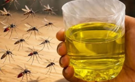 Muče vas muhe, komarci i insekti? Evo trika koji ih uklanja bez da potrošite ijednu marku! - featured image