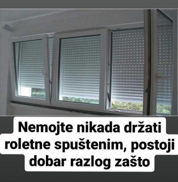 Nikada nemojte spuštati roletne, i to s dobrim razlogom! (FOTO) Nikada nemojte spuštati roletne, i to s dobrim razlogom! (FOTO) - featured image