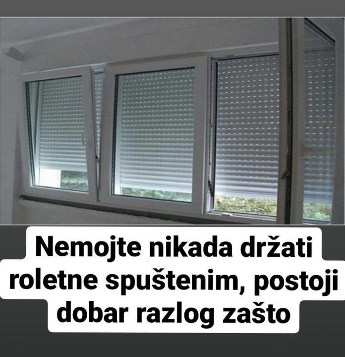 Nikada nemojte spuštati roletne, i to s dobrim razlogom! (FOTO) - featured image