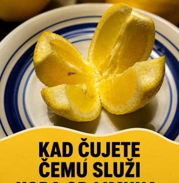 Kad čujete čemu služi kora od limuna, čuvat ćete je kao oči u glavi Kad čujete čemu služi kora od limuna, čuvat ćete je kao oči u glavi - featured image