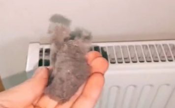 EVO KAKO DA OČISTITE RADIJATORE ZA MINUTU: Bolju foru niste vidjeli, kako se niko ranije nije sjetio ovoga?! (VIDEO) EVO KAKO DA OČISTITE RADIJATORE ZA MINUTU: Bolju foru niste vidjeli, kako se niko ranije nije sjetio ovoga?! (VIDEO) - featured image