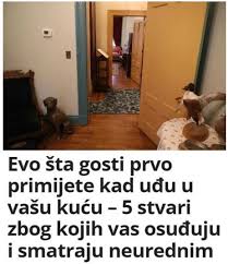 bvnh