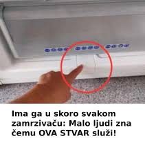 Ima ga u skoro svakom zamrzivaču: Malo ljudi zna čemu OVA STVAR služi! Ima ga u skoro svakom zamrzivaču: Malo ljudi zna čemu OVA STVAR služi! - featured image
