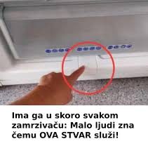 Ima ga u skoro svakom zamrzivaču: Malo ljudi zna čemu OVA STVAR služi! Ima ga u skoro svakom zamrzivaču: Malo ljudi zna čemu OVA STVAR služi! - featured image