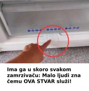 Ima ga u skoro svakom zamrzivaču: Malo ljudi zna čemu OVA STVAR služi!