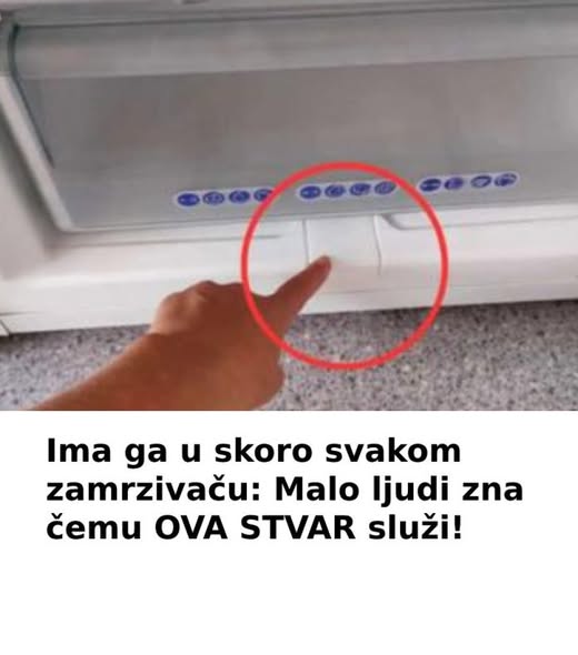 jhgjhjhjh