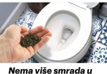 Evo kako se riješiti mirisa odvoda u kupaonici? Svekrva mi je dala savjet- ODLIČAN JE… Evo kako se riješiti mirisa odvoda u kupaonici? Svekrva mi je dala savjet- ODLIČAN JE… - featured image
