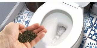 Evo kako se riješiti mirisa odvoda u kupaonici? Svekrva mi je dala savjet- ODLIČAN JE… - featured image