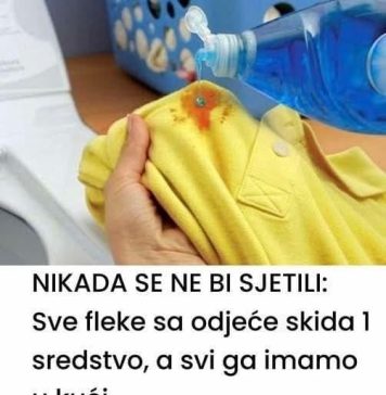 0V0 SlGURN0 NlSTE ZNALl D0 SADA: Sve fleke sa odjeće skida jedno sredstvo, a svi ga imamo u kući 0V0 SlGURN0 NlSTE ZNALl D0 SADA: Sve fleke sa odjeće skida jedno sredstvo, a svi ga imamo u kući - featured image