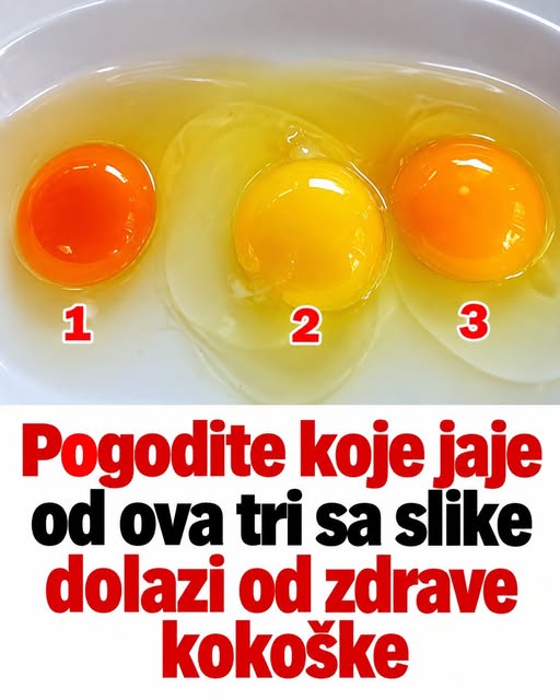Pogodite koje jaje od ova tri sa slike dolazi od zdrave kokoške - featured image Pogodite koje jaje od ova tri sa slike dolazi od zdrave kokoške - featured image