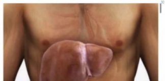 BOLESNA JETRA VAS UPOZORAVA SA OVIH 8 SIMPTOMA: Ako uočite nešto od ovoga, ODMAH DOKTORU DOK NIJE KASNO! - featured image