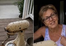 Susjeda me nagovorila da joj posudim mikser moje pokojne majke – onda ga je razbila, ostavila prljavog na mom trijemu i nekako me natjerala da se zapitam je li to bilo namjerno Susjeda me nagovorila da joj posudim mikser moje pokojne majke – onda ga je razbila, ostavila prljavog na mom trijemu i nekako me natjerala da se zapitam je li to bilo namjerno - featured image
