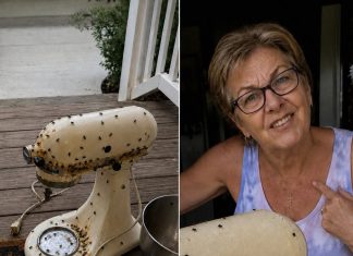 Susjeda me nagovorila da joj posudim mikser moje pokojne majke – onda ga je razbila, ostavila prljavog na mom trijemu i nekako me natjerala da se zapitam je li to bilo namjerno - featured image