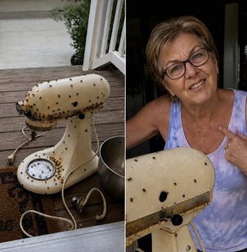 Susjeda me nagovorila da joj posudim mikser moje pokojne majke – onda ga je razbila, ostavila prljavog na mom trijemu i nekako me natjerala da se zapitam je li to bilo namjerno Susjeda me nagovorila da joj posudim mikser moje pokojne majke – onda ga je razbila, ostavila prljavog na mom trijemu i nekako me natjerala da se zapitam je li to bilo namjerno - featured image