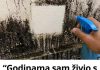 “Godinama sam živio s plijesni na zidovima… a onda sam otkrio trik koji je uklanja bez ribanja!” - featured image