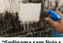 “Godinama sam živio s plijesni na zidovima… a onda sam otkrio trik koji je uklanja bez ribanja!” - featured image