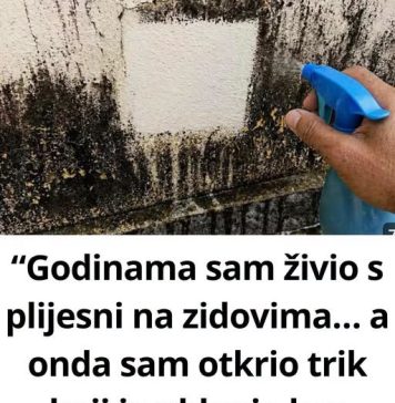 “Godinama sam živio s plijesni na zidovima… a onda sam otkrio trik koji je uklanja bez ribanja!” - featured image