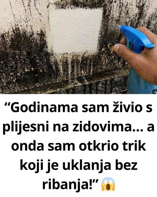 “Godinama sam živio s plijesni na zidovima… a onda sam otkrio trik koji je uklanja bez ribanja!” - featured image