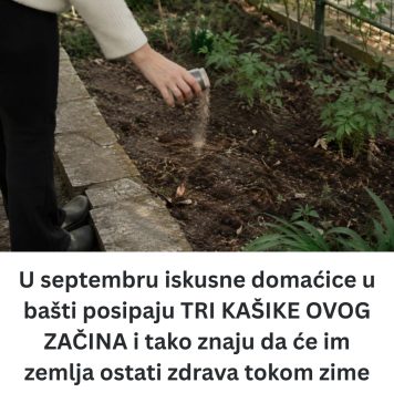 U septembru iskusne domaćice u bašti posipaju TRI KAŠIKE OVOG ZAČINA i tako znaju da će im zemlja ostati zdrava tokom zime - featured image