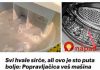 SVI HVALE SIRĆE, ALI OVO JE STO PUTA BOLJE: U porodici majstora veš mašina sam naučio kako da očistim celu veš mašinu što je brže moguće! - featured image