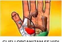 CIJELI ORGANIZAM SE VIDI NA DLANU: Pritisnite ovu tačku i sav bol će nestati za 5 minuta
